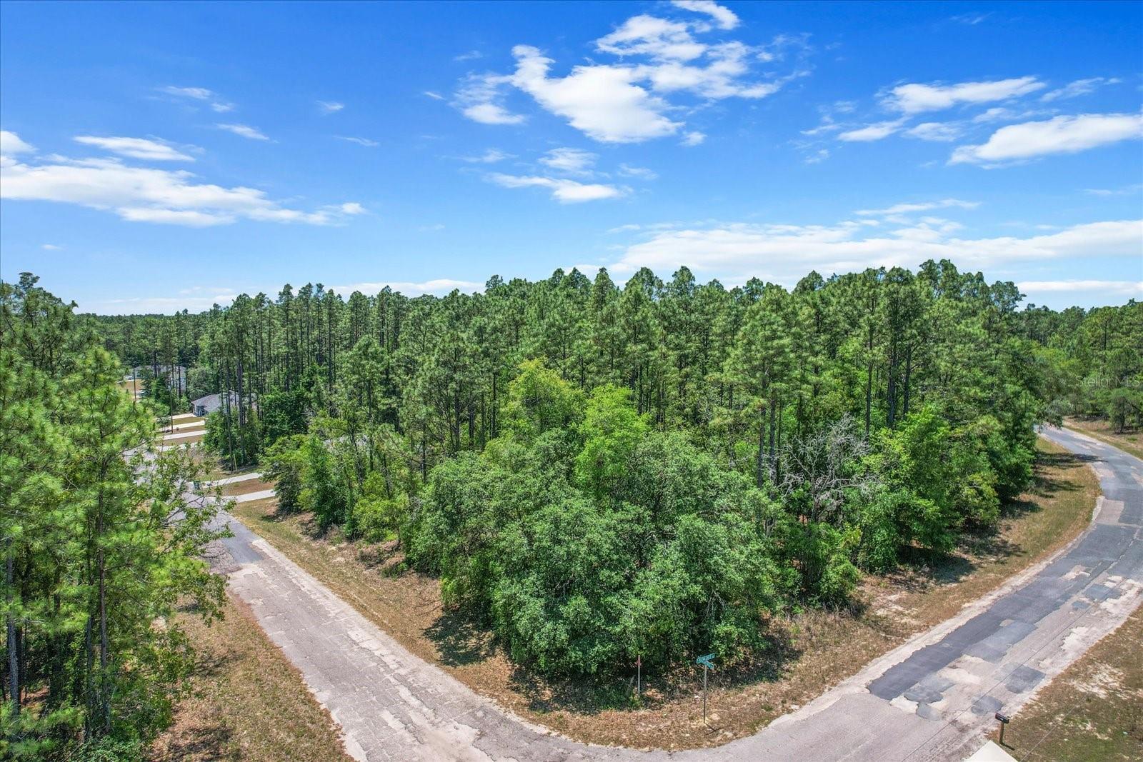 9410 N PEACHTREE WAY, CITRUS SPRINGS, FL, 34434