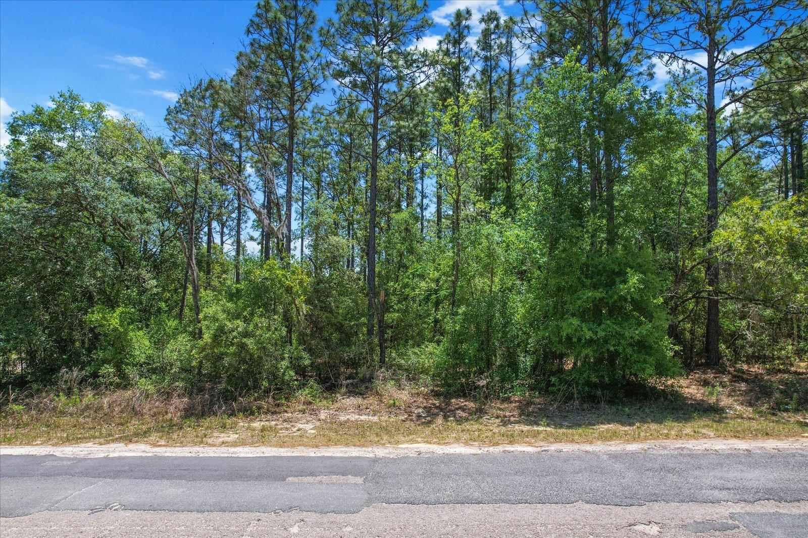 9410 N PEACHTREE WAY, CITRUS SPRINGS, FL, 34434