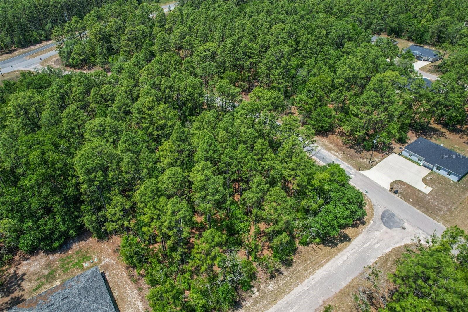 9410 N PEACHTREE WAY, CITRUS SPRINGS, FL, 34434