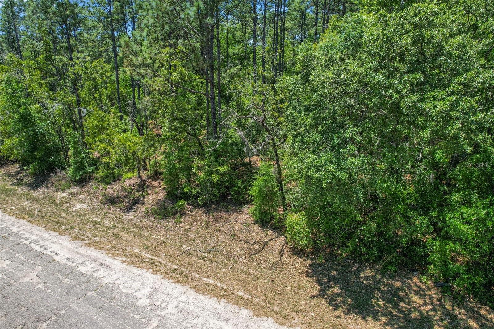 9410 N PEACHTREE WAY, CITRUS SPRINGS, FL, 34434