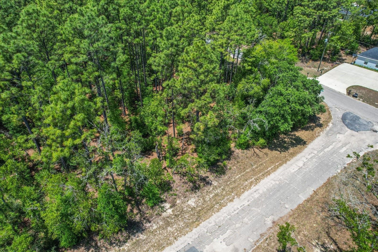 9410 N PEACHTREE WAY, CITRUS SPRINGS, FL, 34434