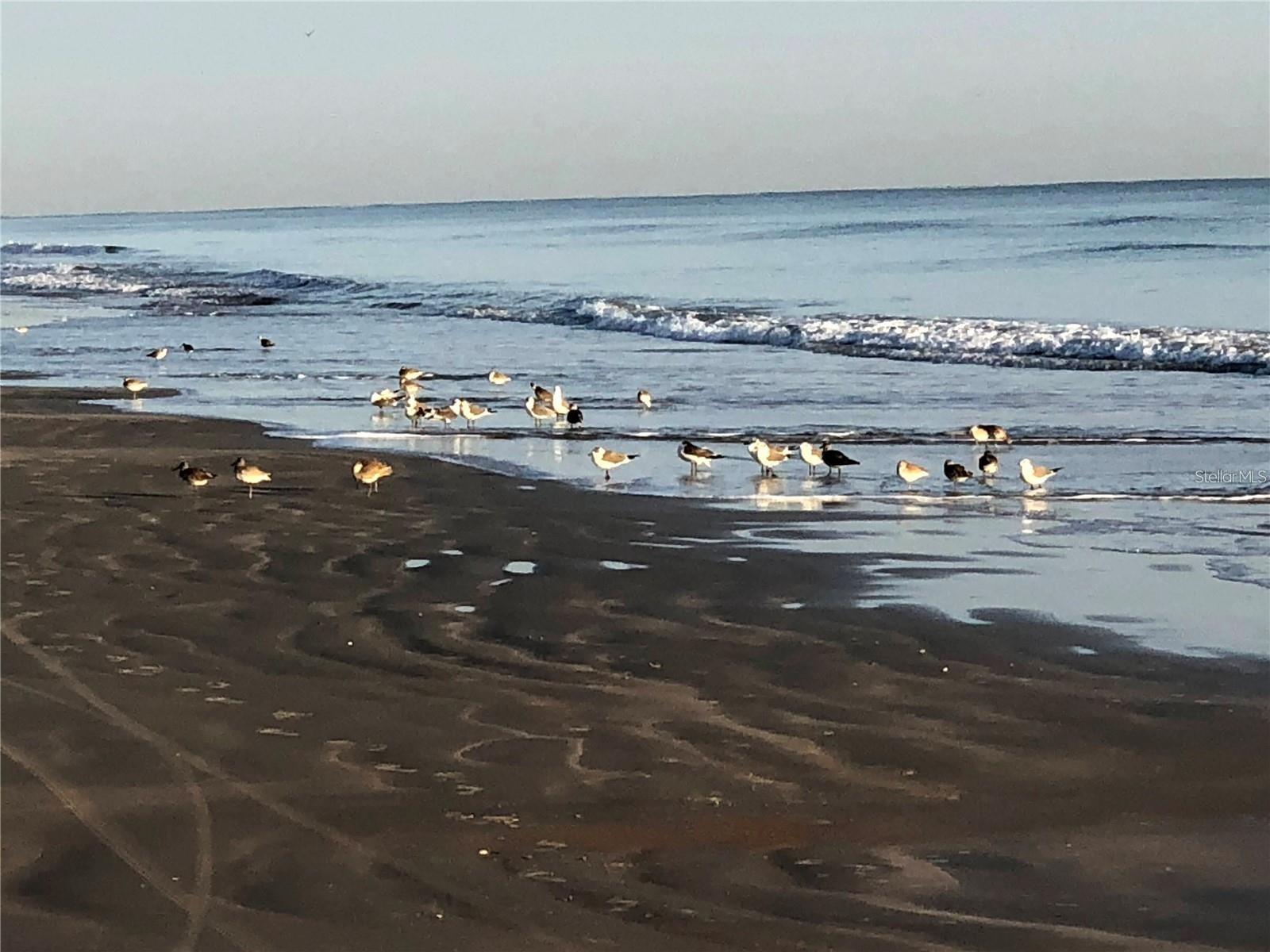 2700 N ATLANTIC AVE #527, DAYTONA BEACH, FL, 32118