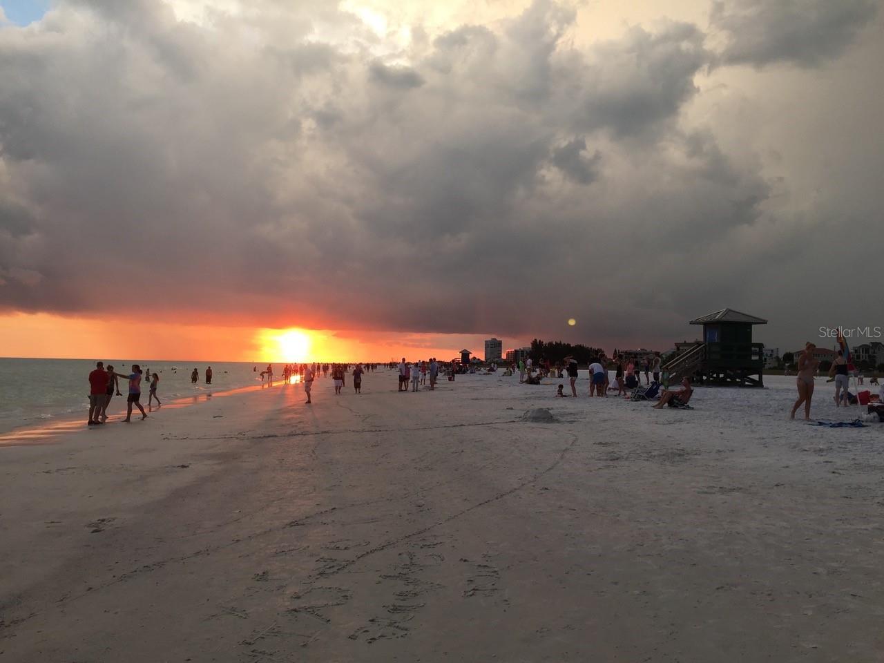 3700 S OSPREY AVE #113, SARASOTA, FL, 34239