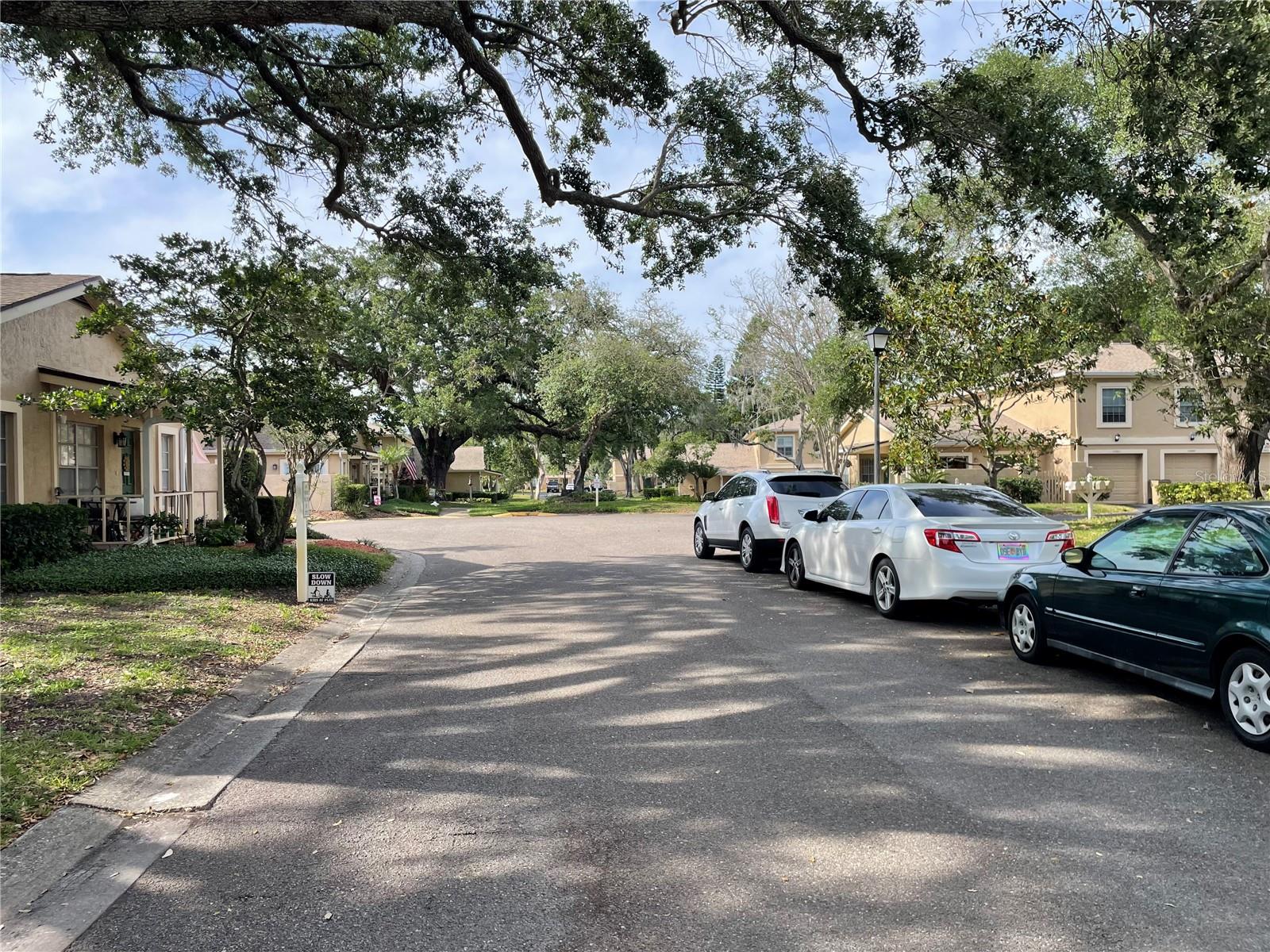 11838 WILDEFLOWER PL #11838, TEMPLE TERRACE, FL, 33617