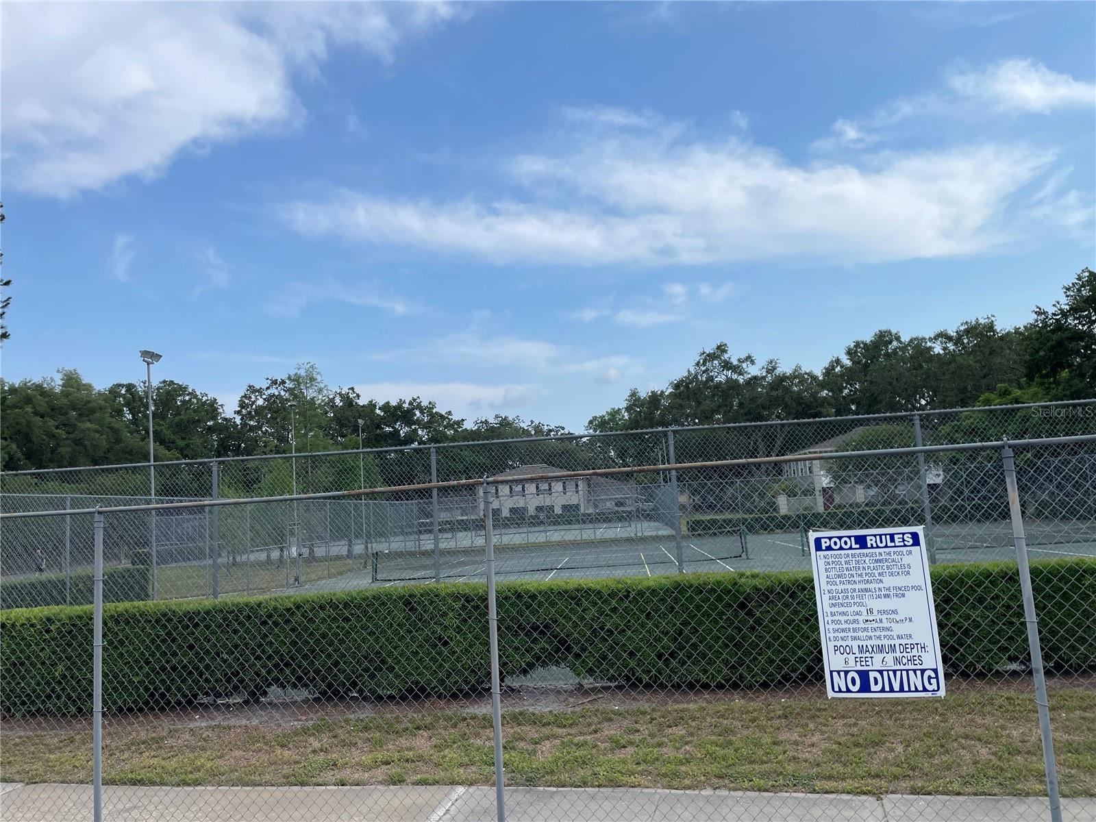 11838 WILDEFLOWER PL #11838, TEMPLE TERRACE, FL, 33617