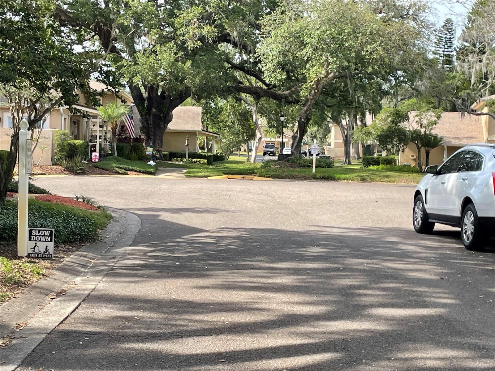 11838 WILDEFLOWER PL #11838, TEMPLE TERRACE, FL, 33617