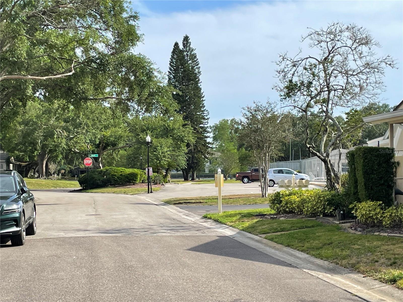 11838 WILDEFLOWER PL #11838, TEMPLE TERRACE, FL, 33617