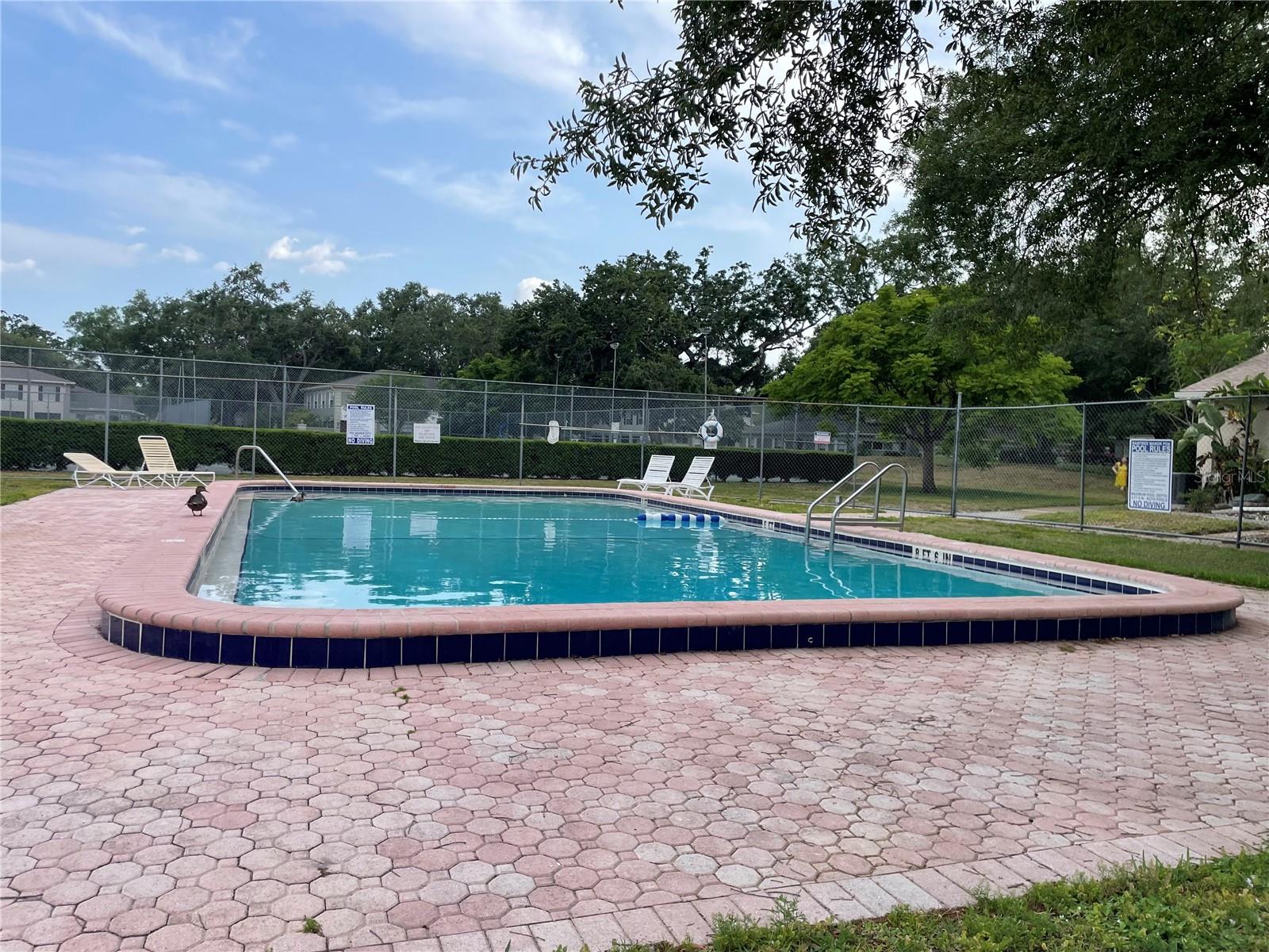 11838 WILDEFLOWER PL #11838, TEMPLE TERRACE, FL, 33617