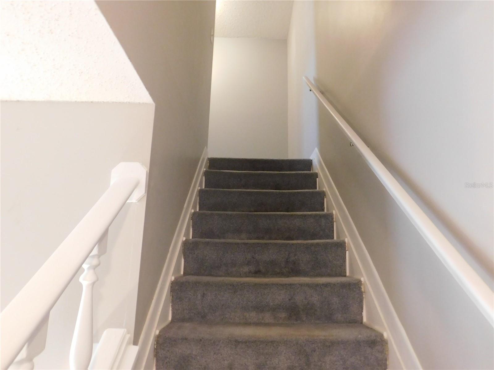 11838 WILDEFLOWER PL #11838, TEMPLE TERRACE, FL, 33617