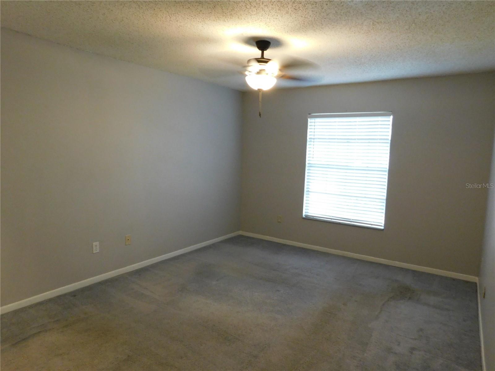 11838 WILDEFLOWER PL #11838, TEMPLE TERRACE, FL, 33617