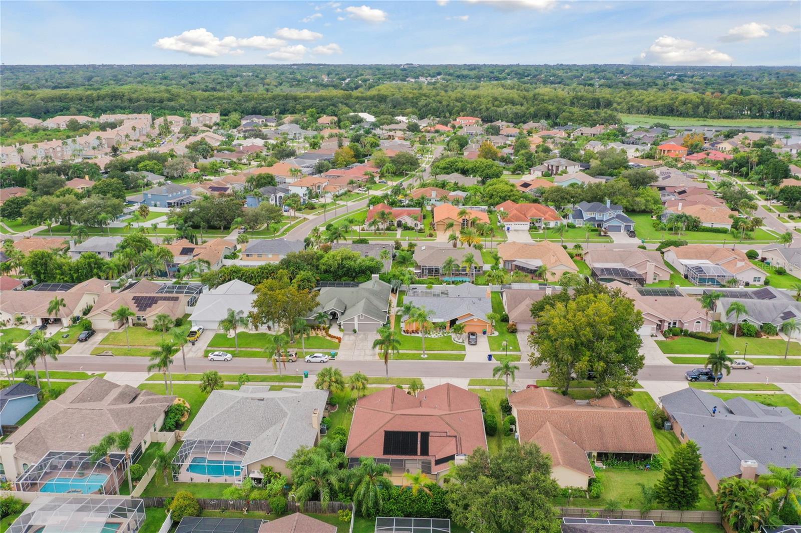 1831 STABLE TRL, PALM HARBOR, FL, 34685