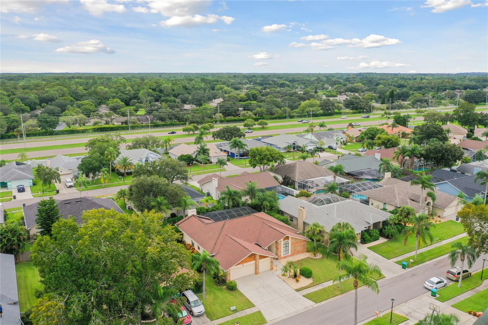 1831 STABLE TRL, PALM HARBOR, FL, 34685