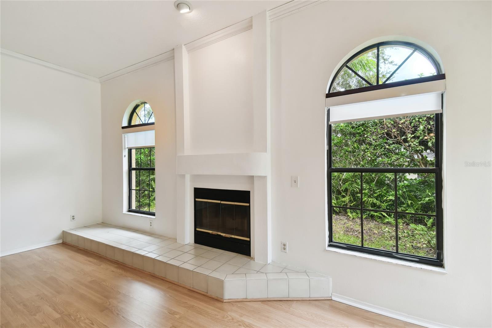 1831 STABLE TRL, PALM HARBOR, FL, 34685