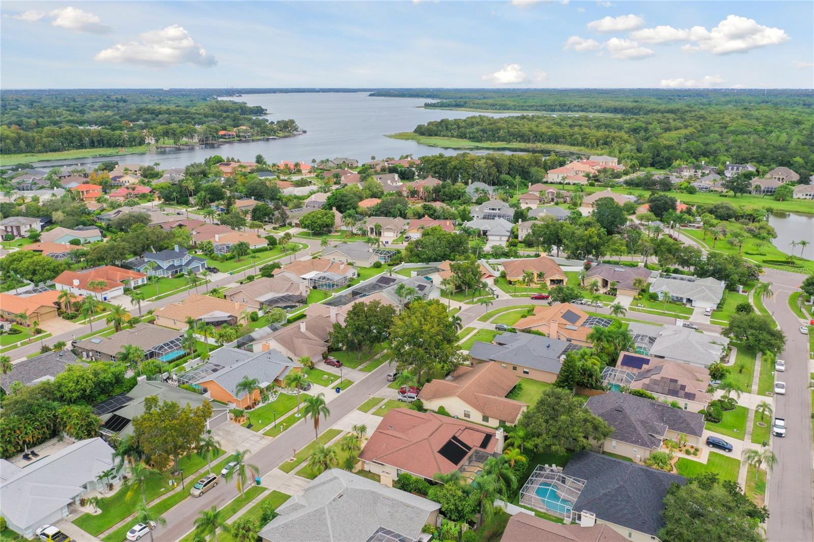 1831 STABLE TRL, PALM HARBOR, FL, 34685