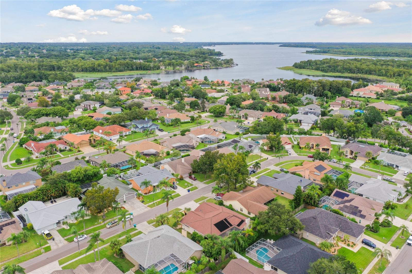 1831 STABLE TRL, PALM HARBOR, FL, 34685