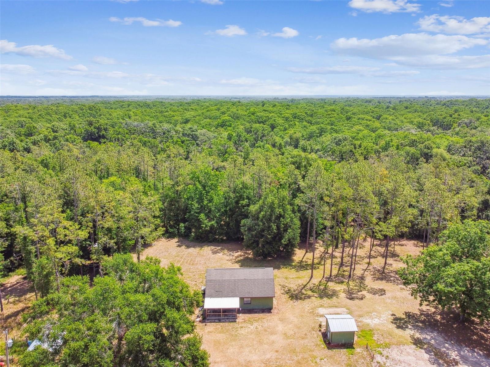 19708 BOWER RD, DADE CITY, FL, 33523