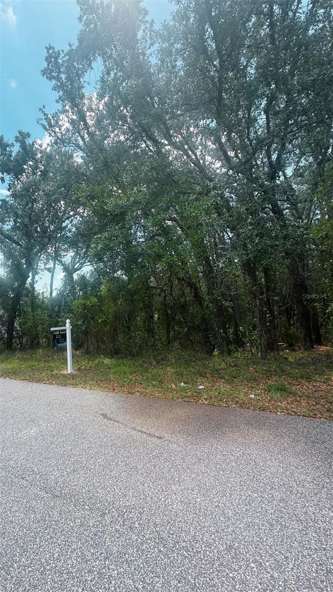 8253 CHRISTOPHER LANE, WEEKI WACHEE,, FL, 34613