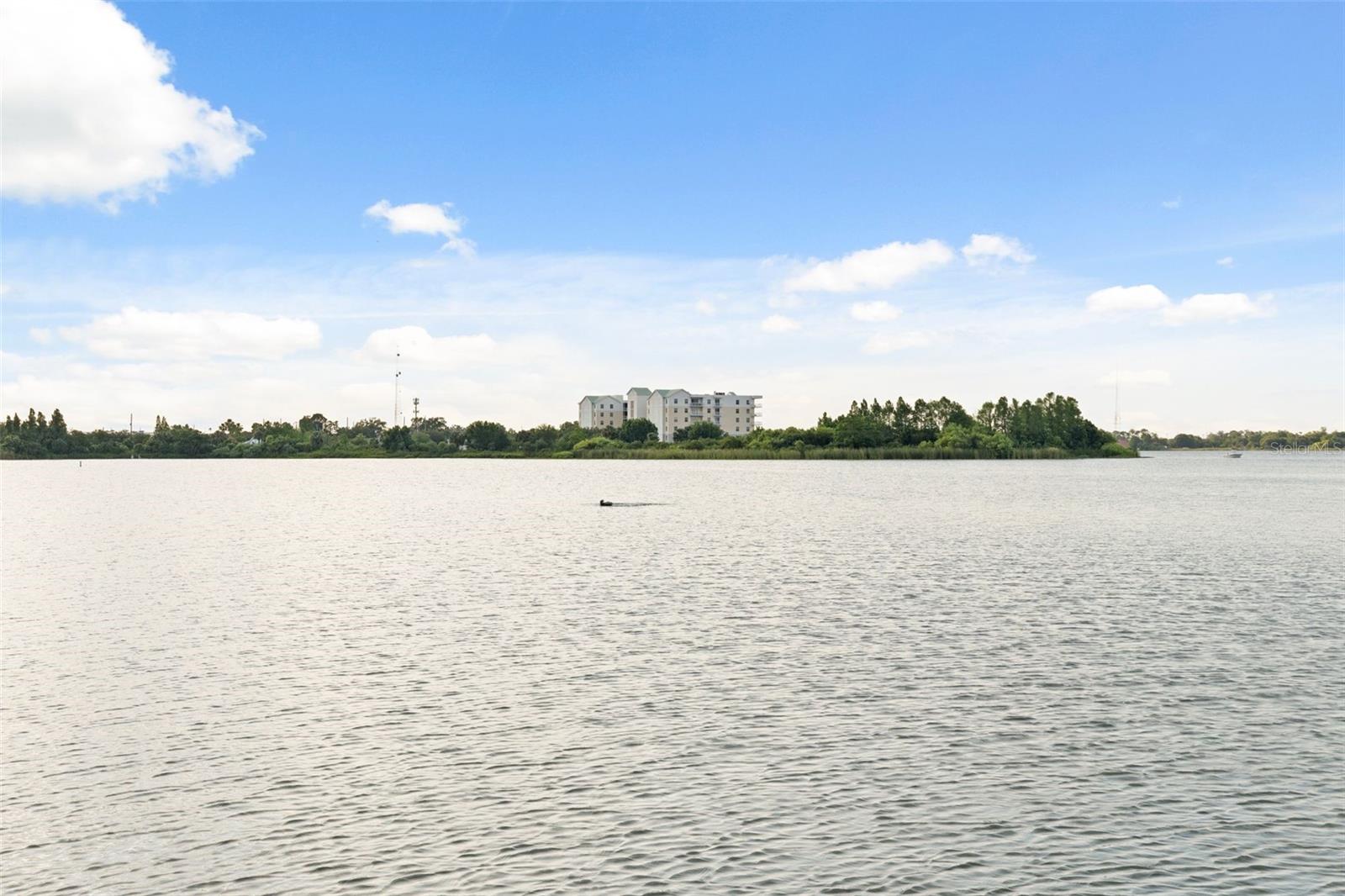 43 INTERLAKEN RD, ORLANDO, FL, 32804