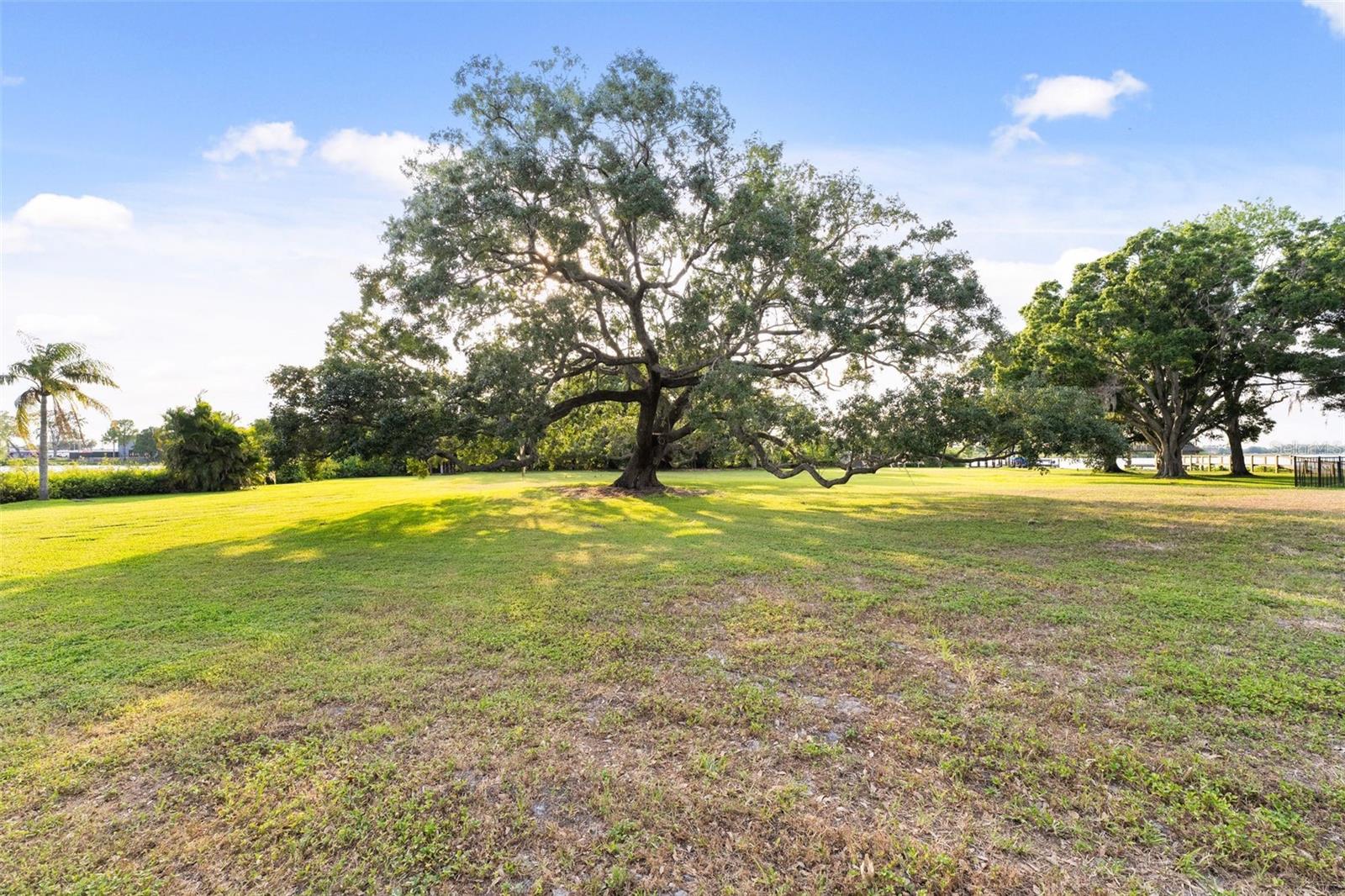 43 INTERLAKEN RD, ORLANDO, FL, 32804