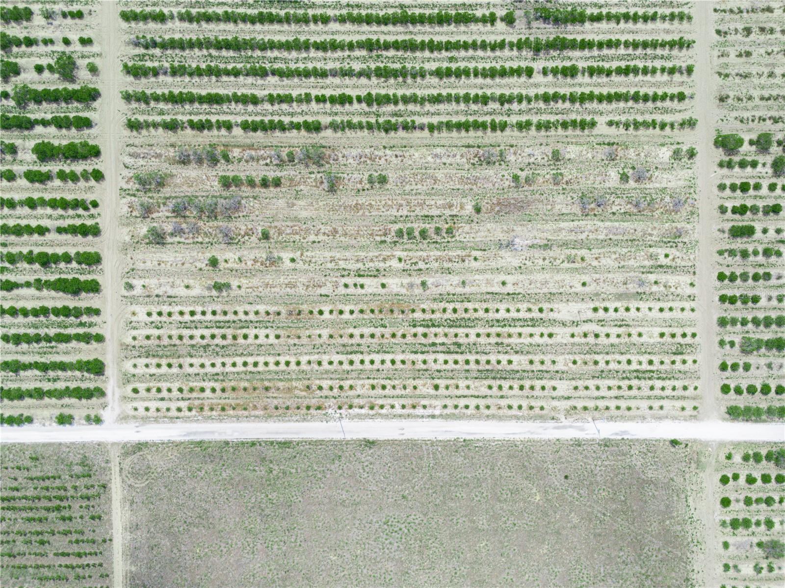 GILBERT RD, LAKE WALES, FL, 33898