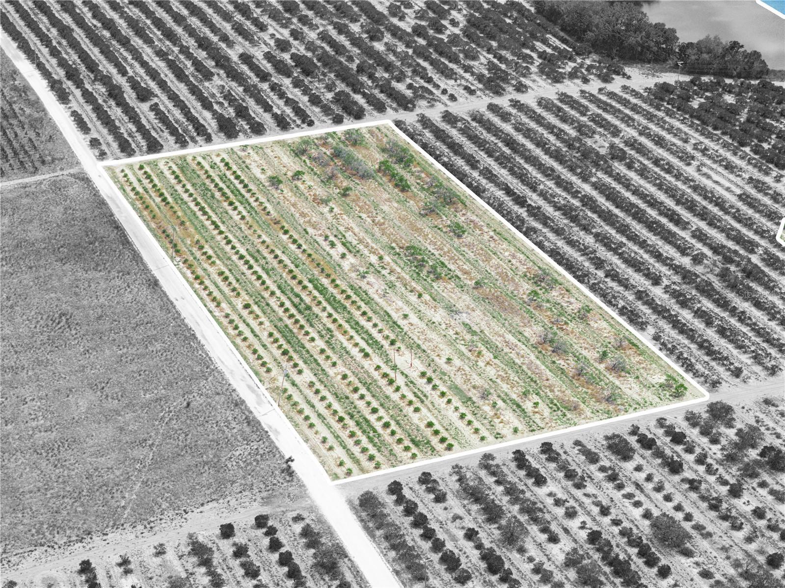 GILBERT RD, LAKE WALES, FL, 33898