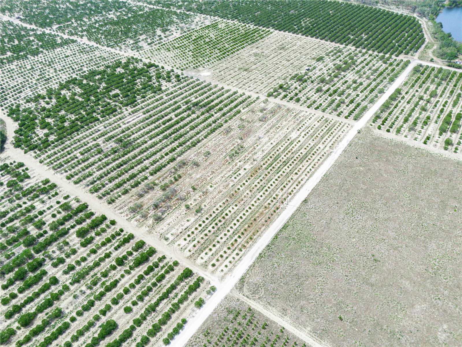 GILBERT RD, LAKE WALES, FL, 33898