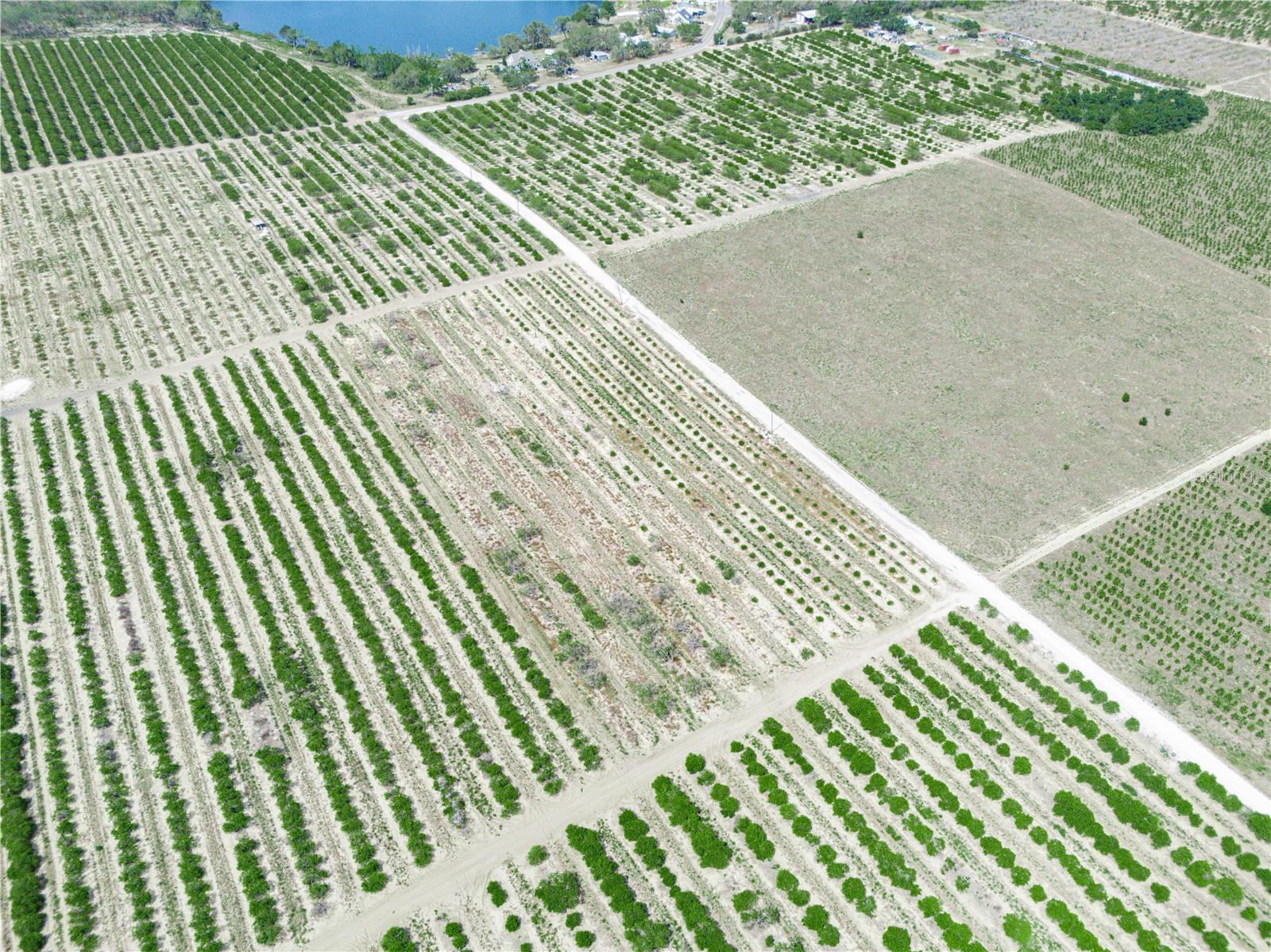 GILBERT RD, LAKE WALES, FL, 33898