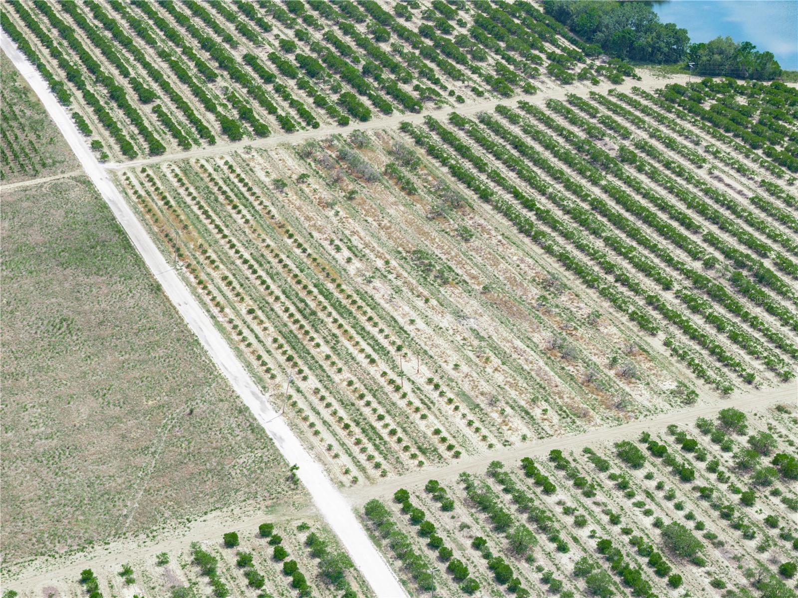 GILBERT RD, LAKE WALES, FL, 33898