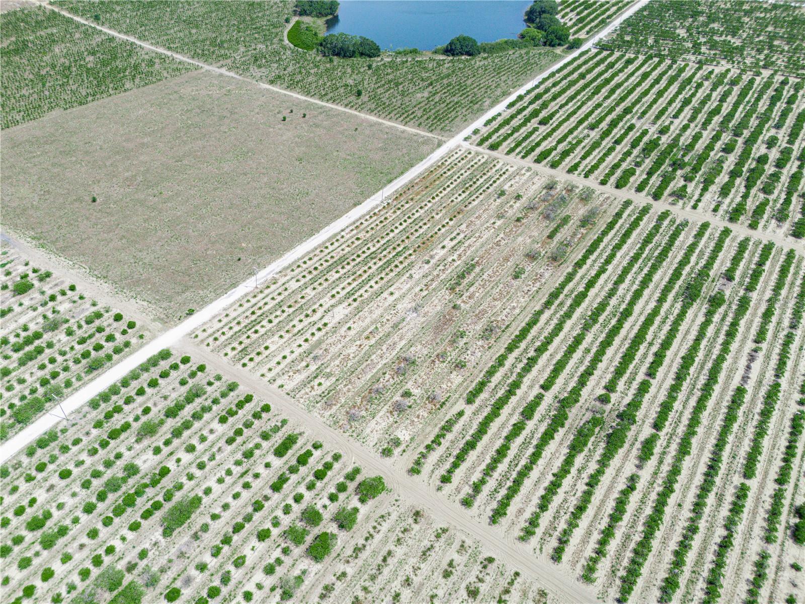 GILBERT RD, LAKE WALES, FL, 33898