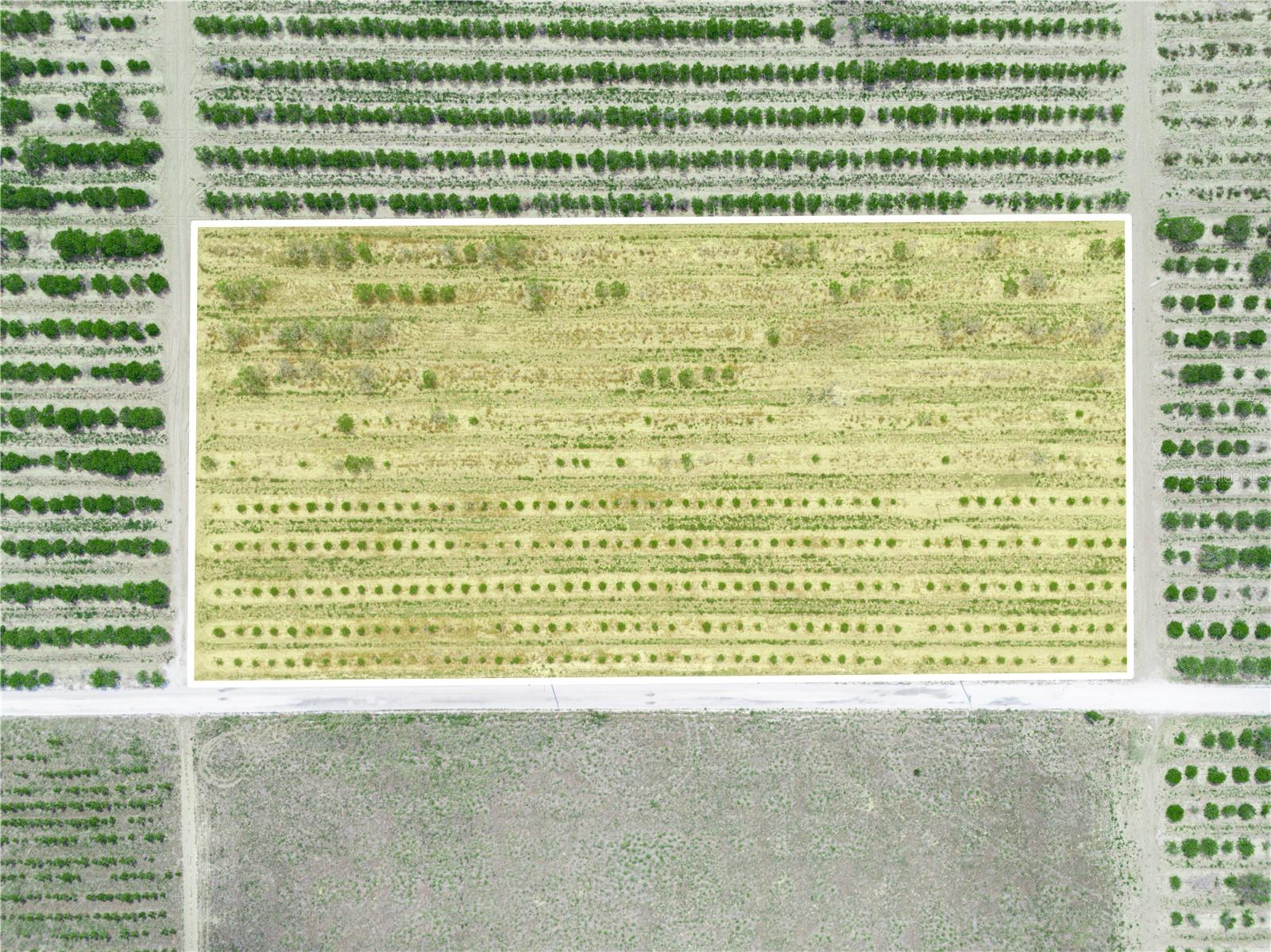 GILBERT RD, LAKE WALES, FL, 33898