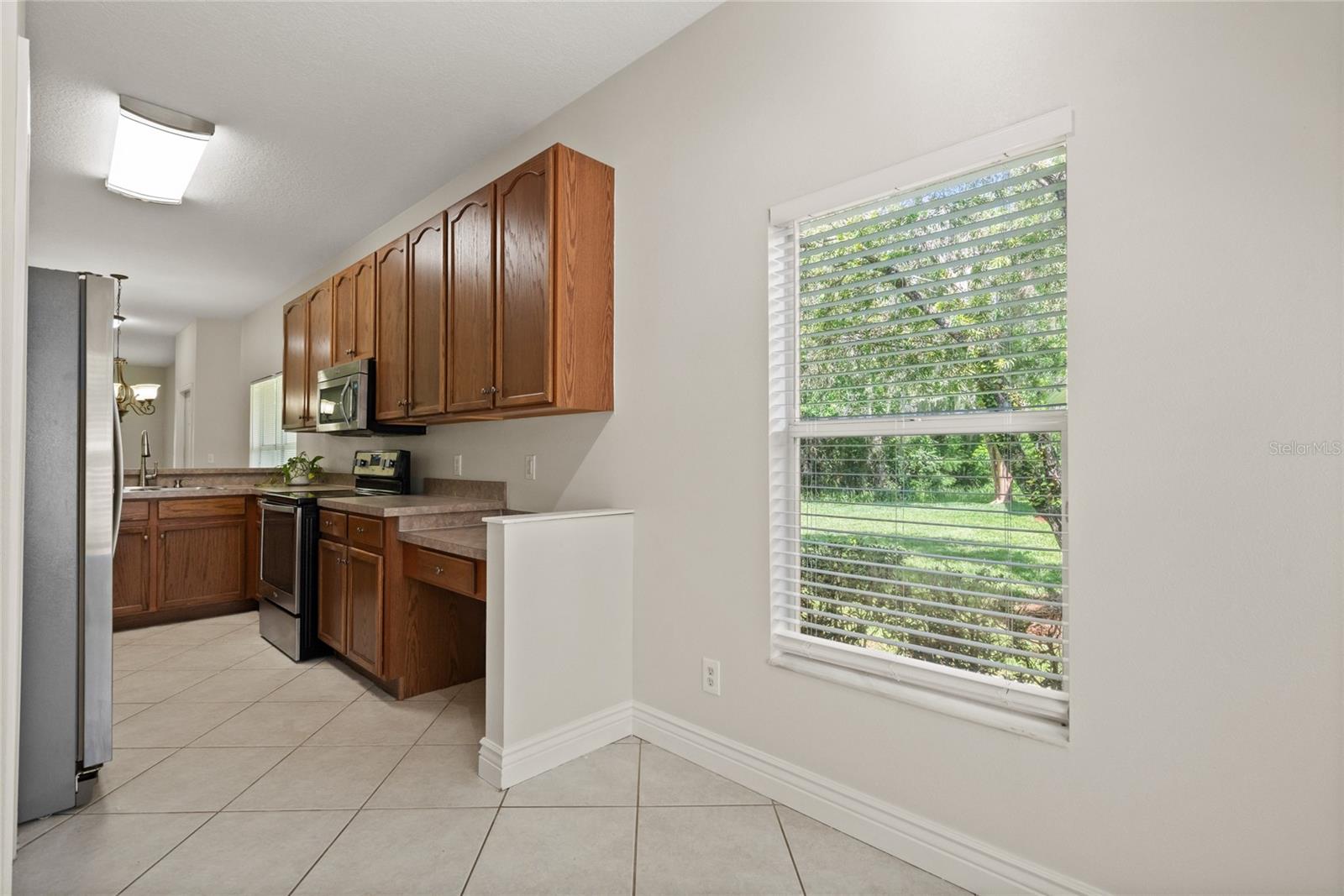 20221 VINTAGE OAKS PL, TAMPA, FL, 33647