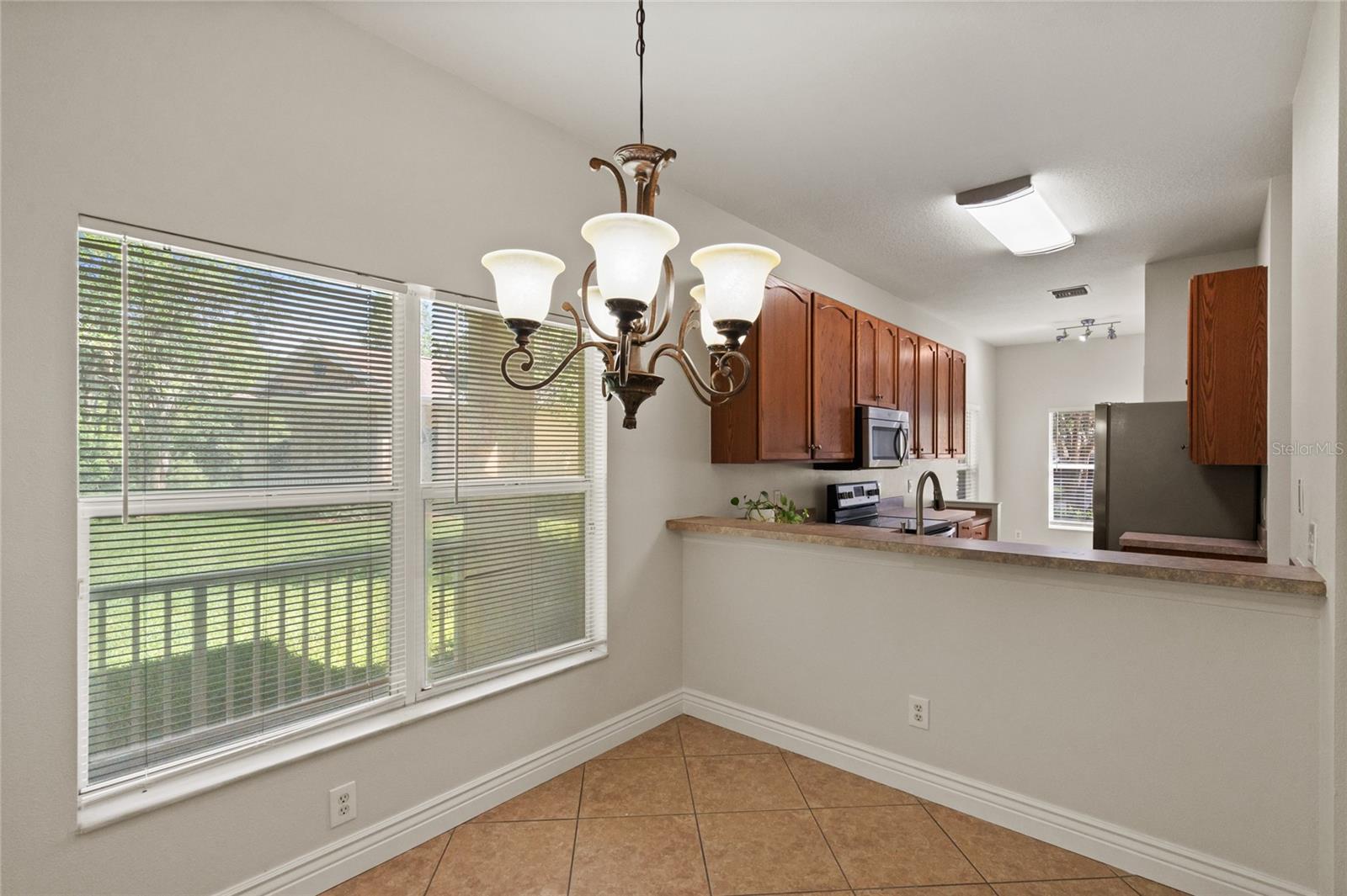 20221 VINTAGE OAKS PL, TAMPA, FL, 33647