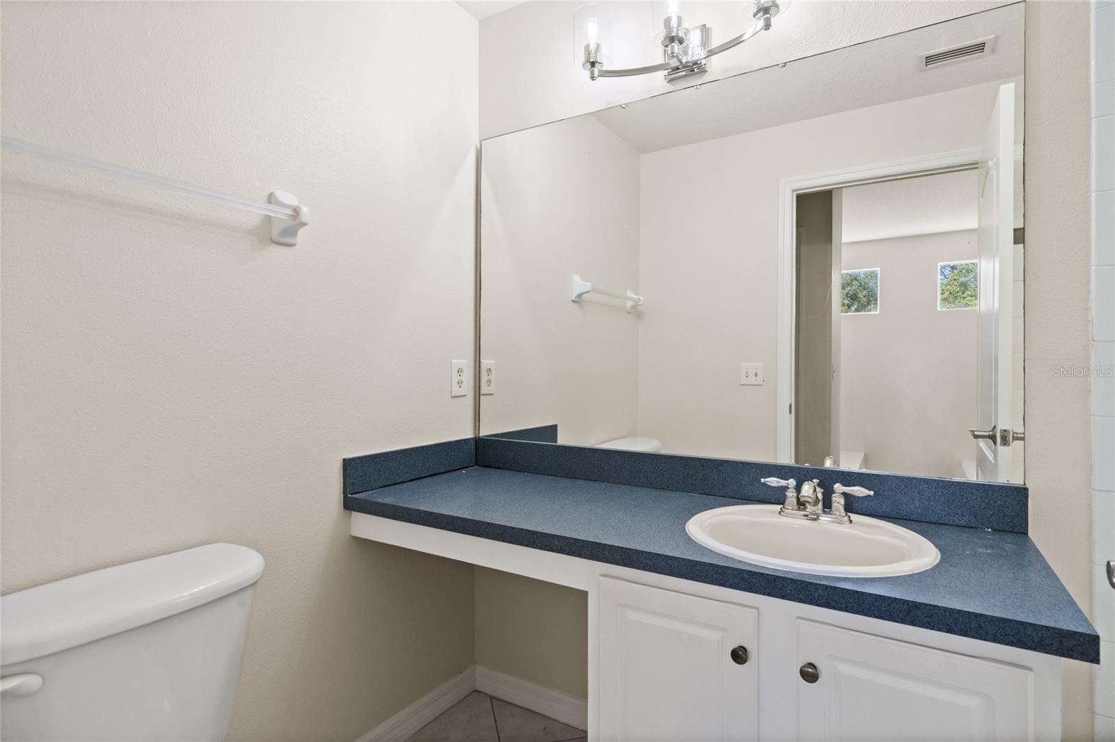 20221 VINTAGE OAKS PL, TAMPA, FL, 33647