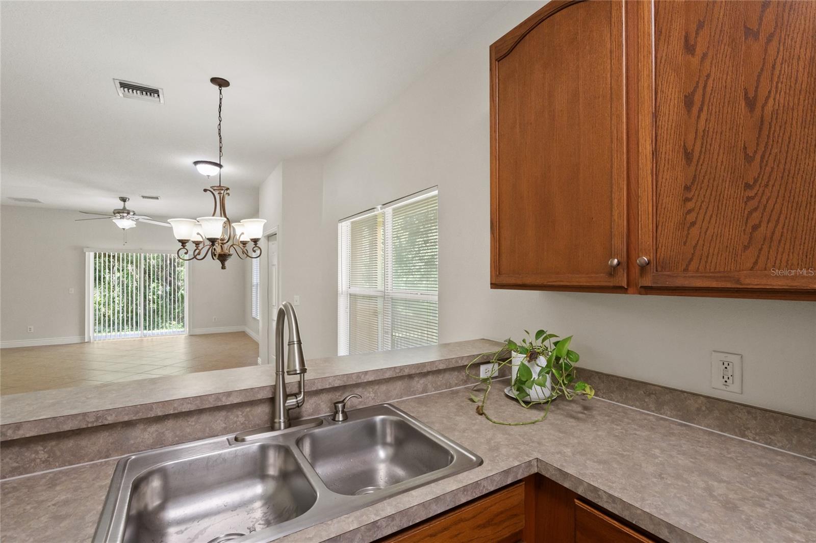 20221 VINTAGE OAKS PL, TAMPA, FL, 33647