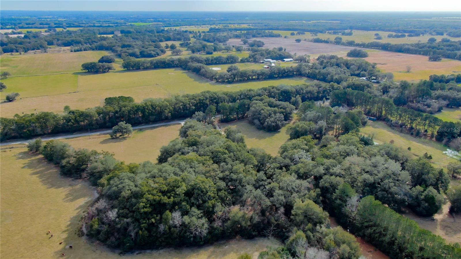 2524 SW 266TH ST, NEWBERRY, FL, 32669