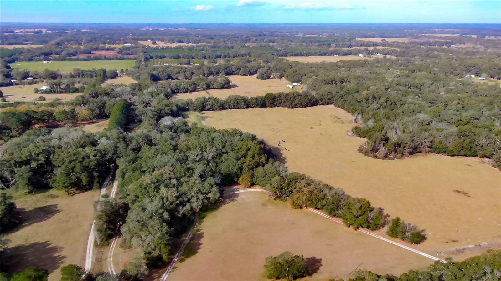 2524 SW 266TH ST, NEWBERRY, FL, 32669