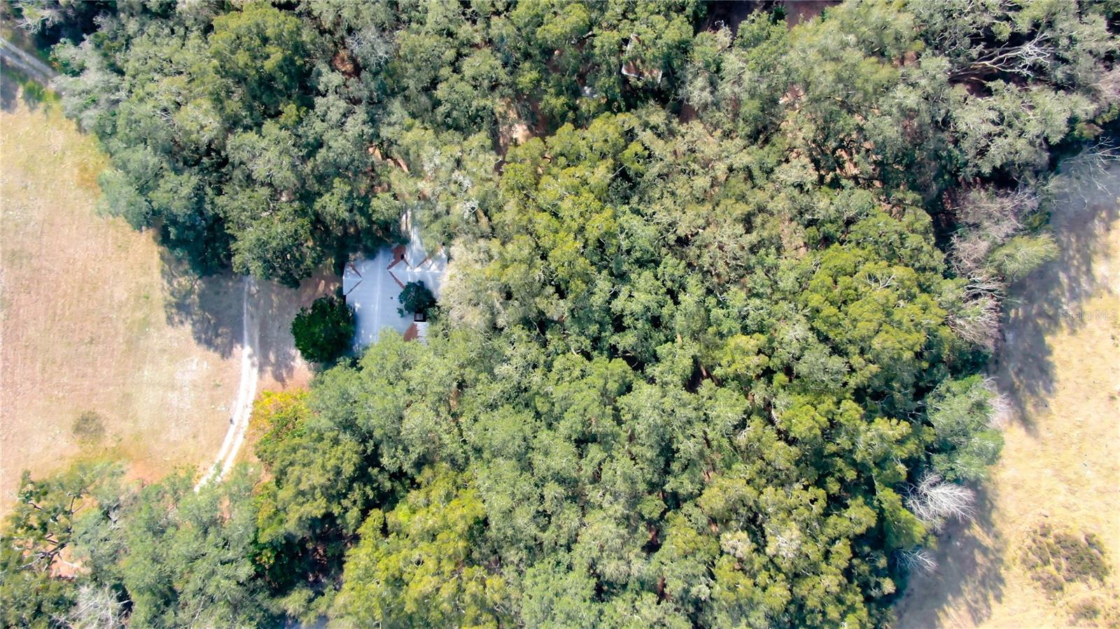 2524 SW 266TH ST, NEWBERRY, FL, 32669