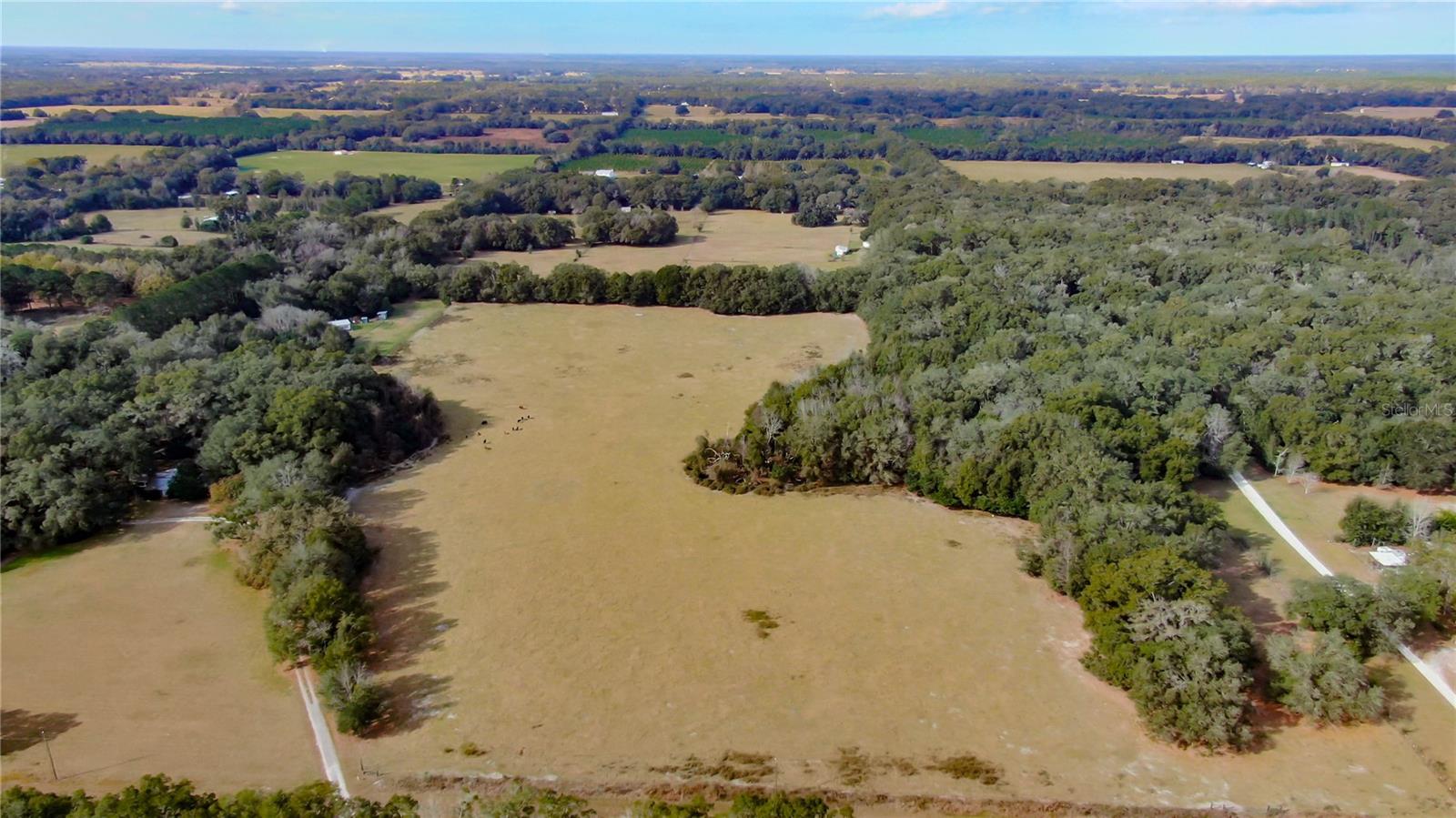 2524 SW 266TH ST, NEWBERRY, FL, 32669