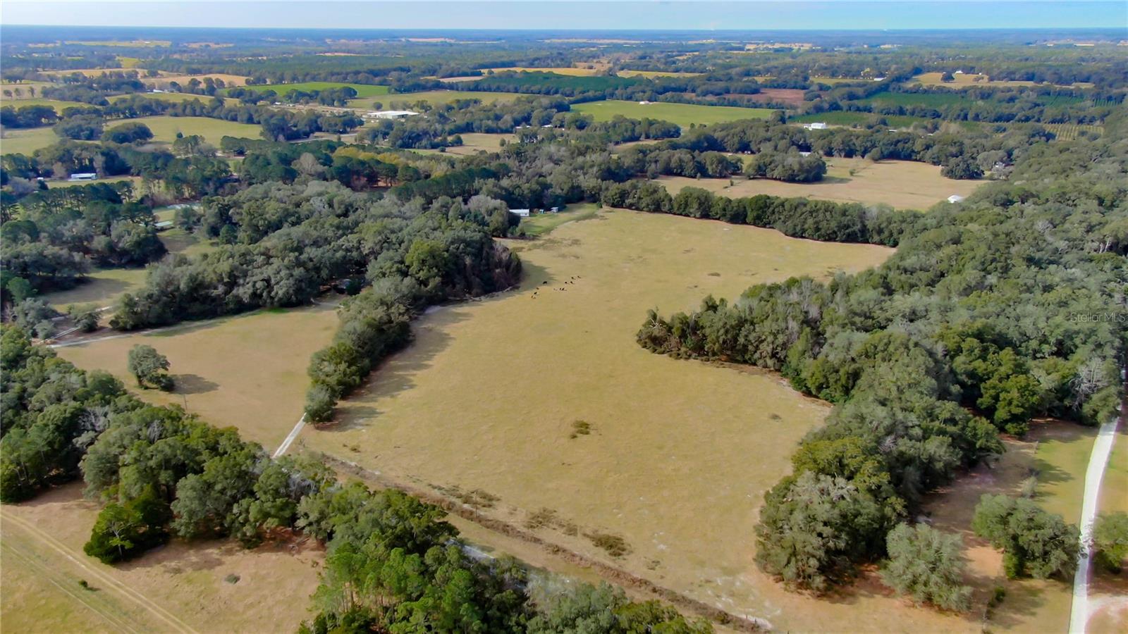 2524 SW 266TH ST, NEWBERRY, FL, 32669