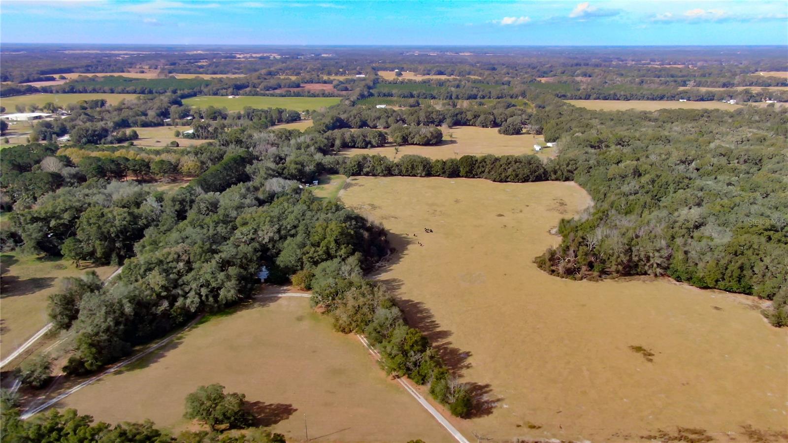 2524 SW 266TH ST, NEWBERRY, FL, 32669