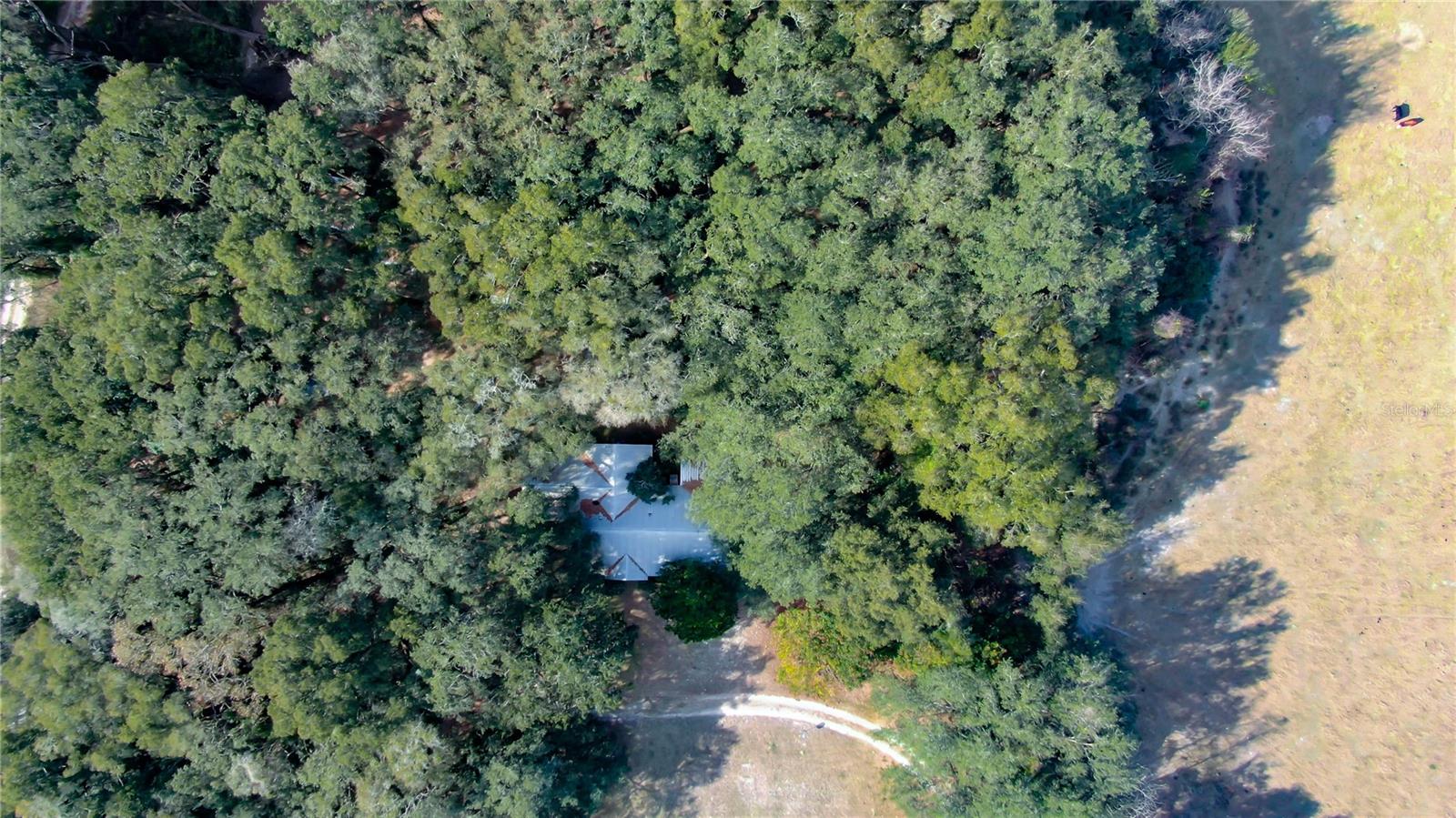 2524 SW 266TH ST, NEWBERRY, FL, 32669