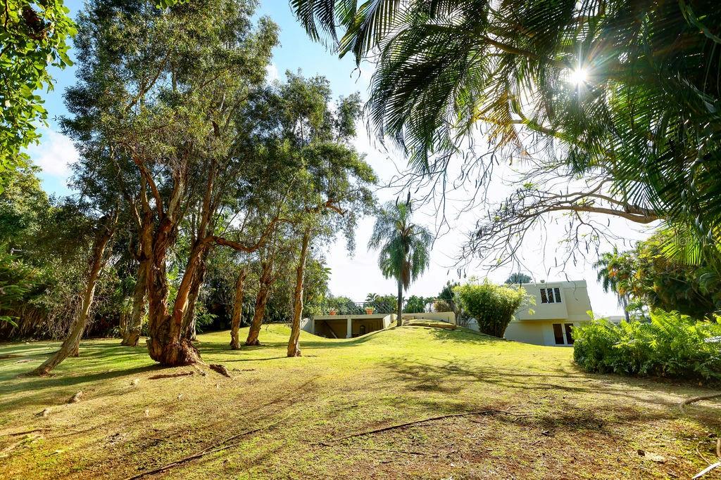 PR9113373 Property Photo