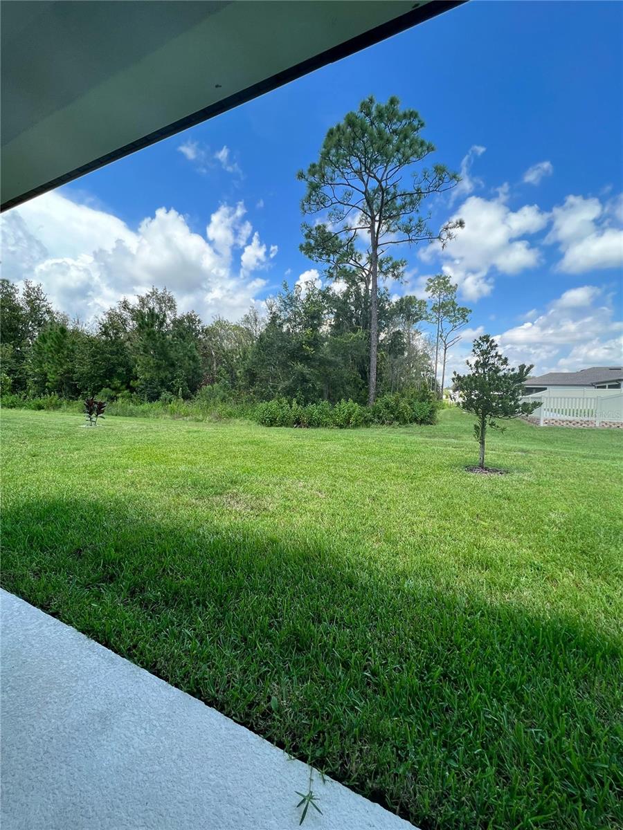 30553 GILBERN RD, WESLEY CHAPEL, FL, 33545