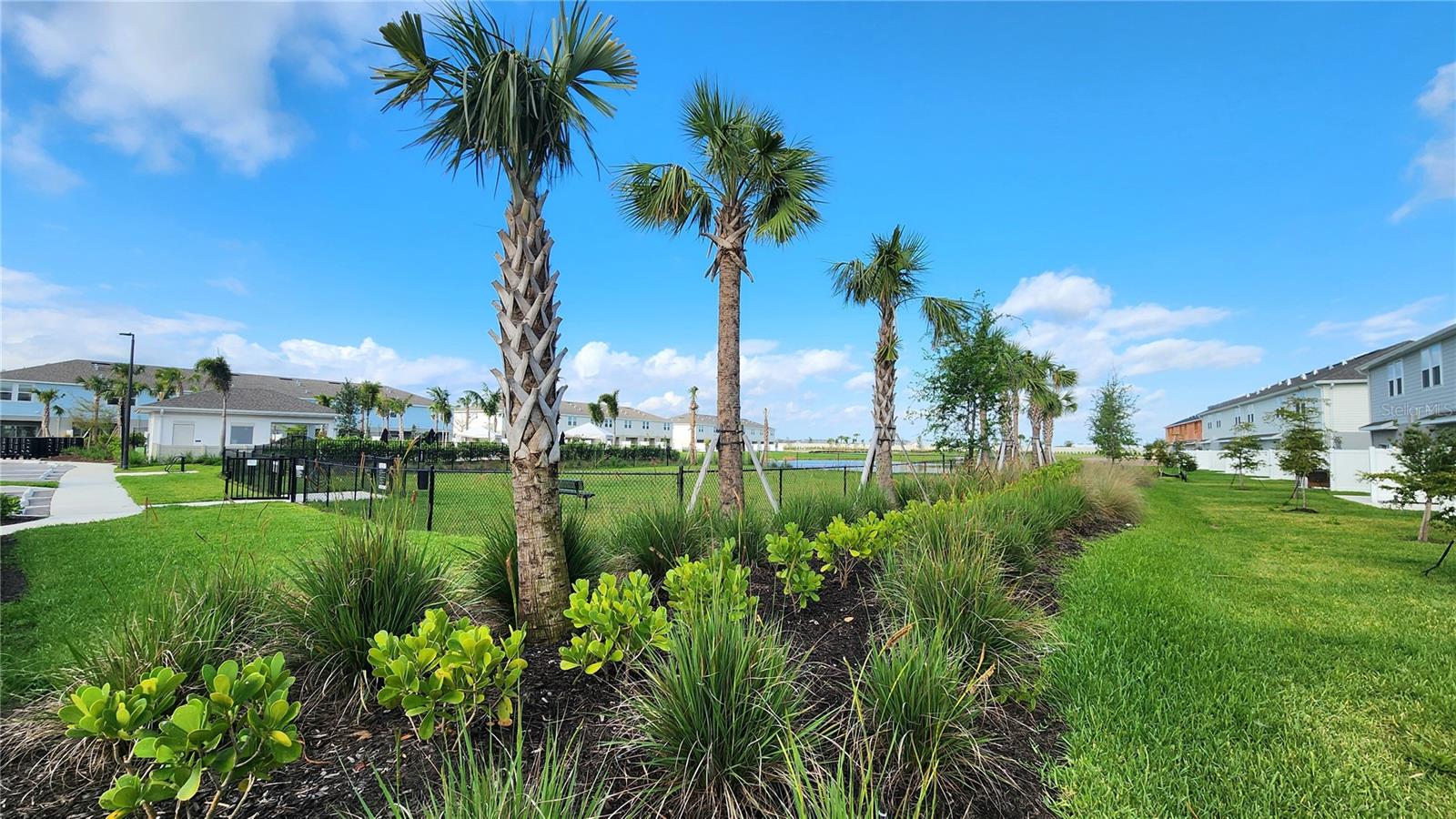 16656 BERGAMO PL, LAKEWOOD RANCH, FL, 34211