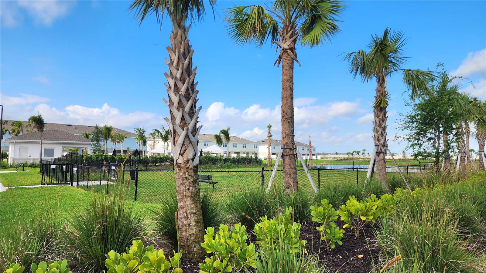 16656 BERGAMO PL, LAKEWOOD RANCH, FL, 34211