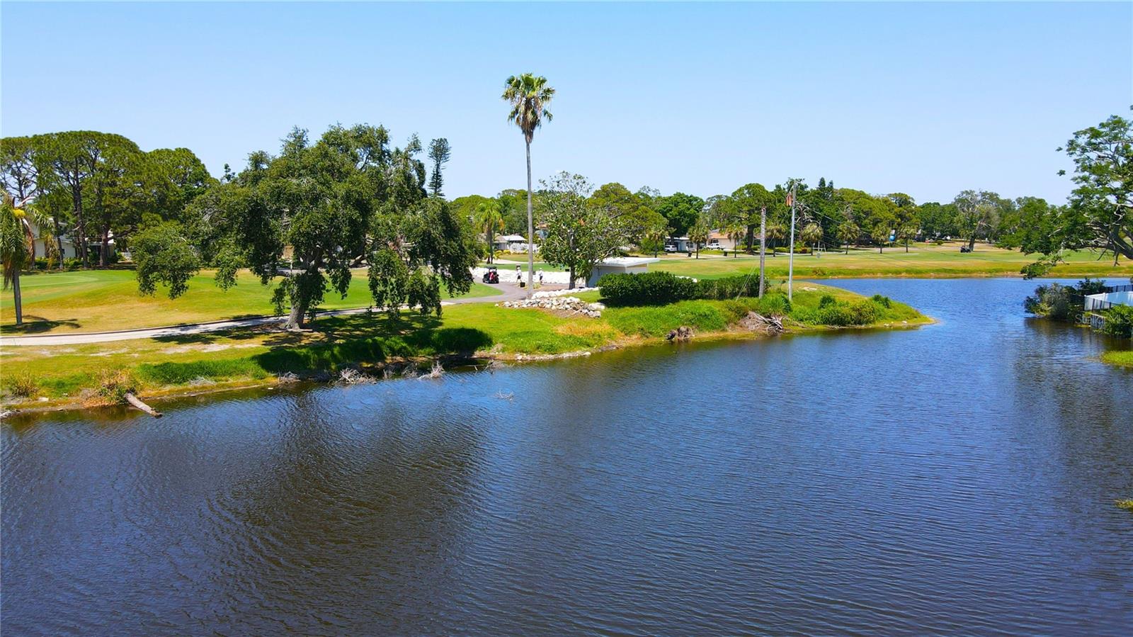 1981 LAKEWOOD CLUB DR S #4M, ST PETERSBURG, FL, 33712