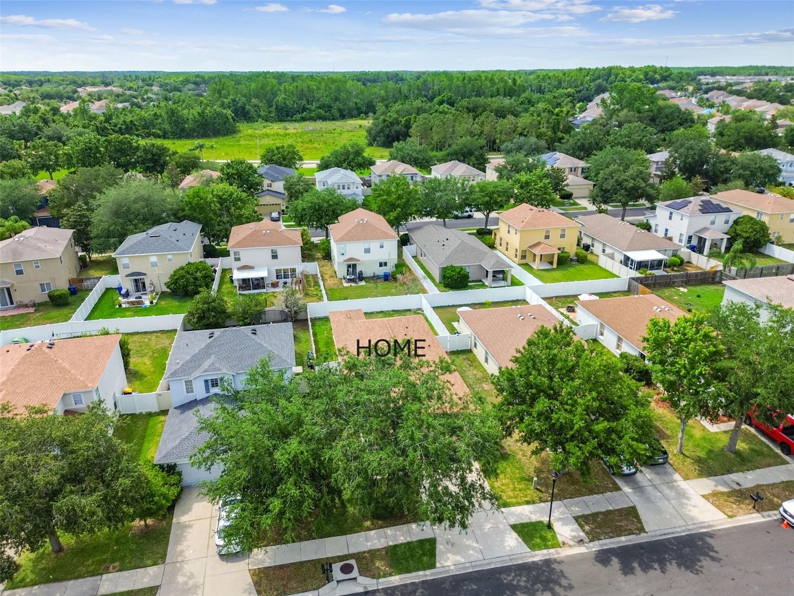 9551 MAXSON DR, LAND O LAKES, FL, 34638