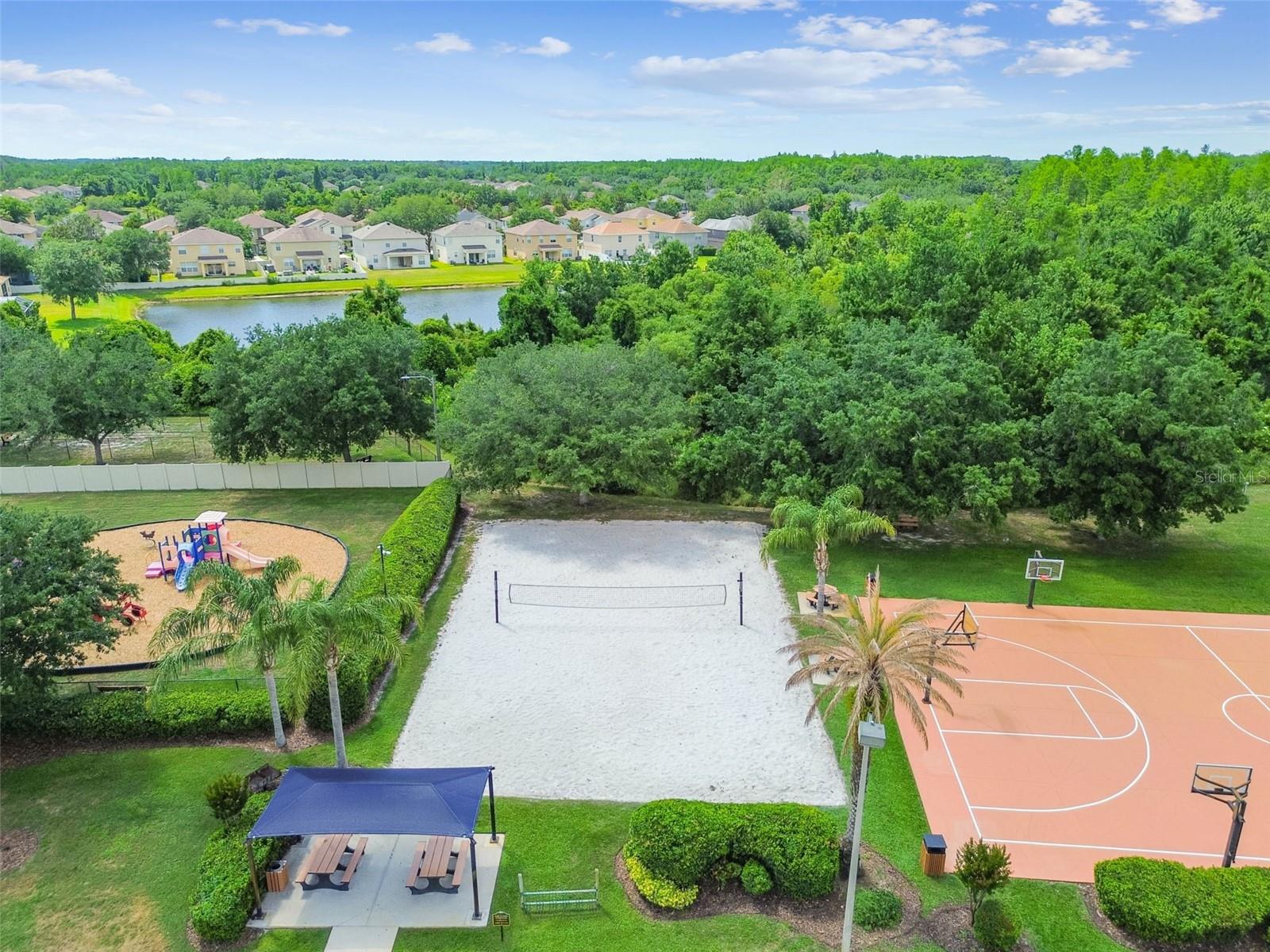 9551 MAXSON DR, LAND O LAKES, FL, 34638