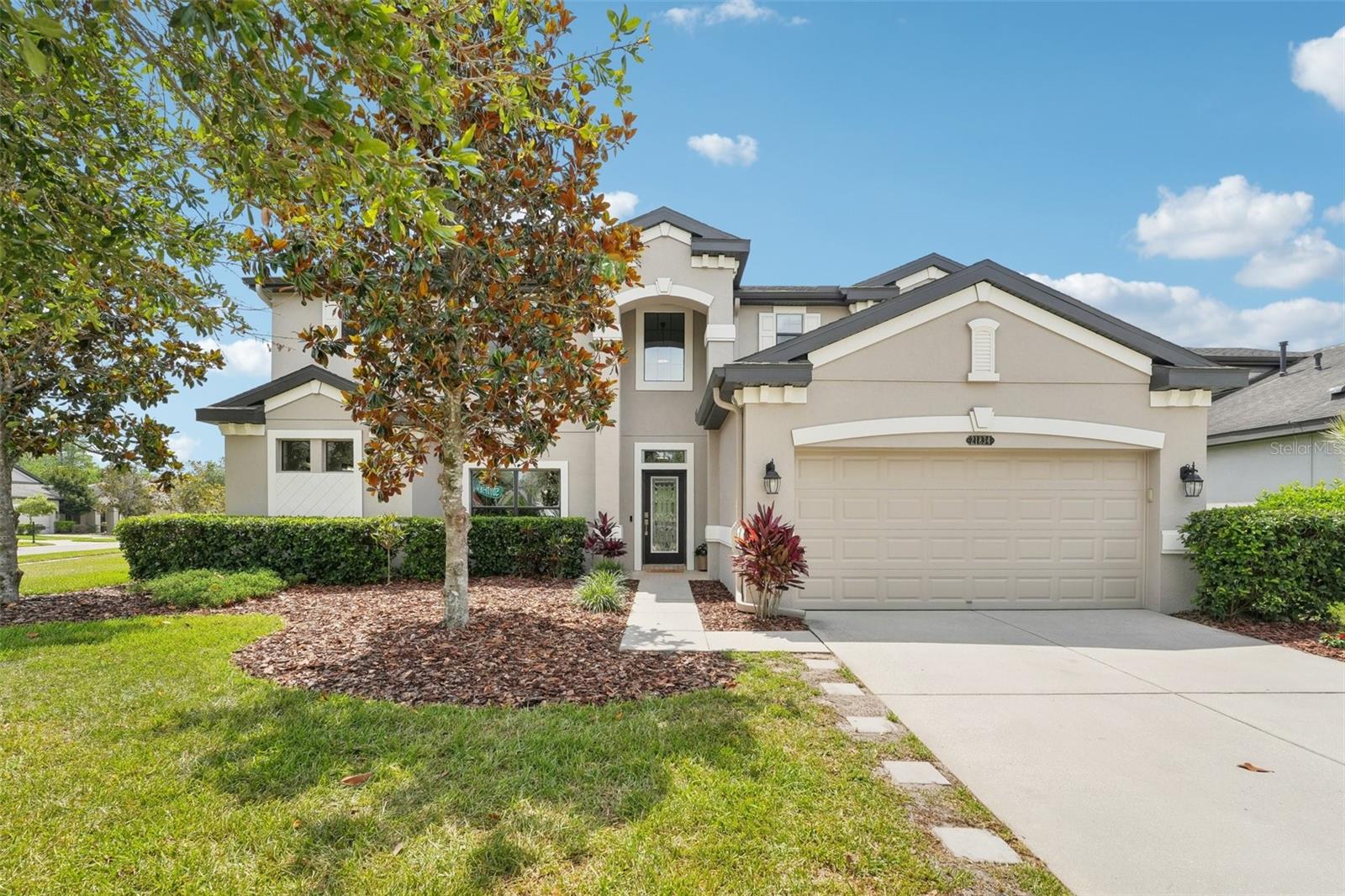 21834 SOUTHERN CHARM DR, LAND O LAKES, FL, 34637