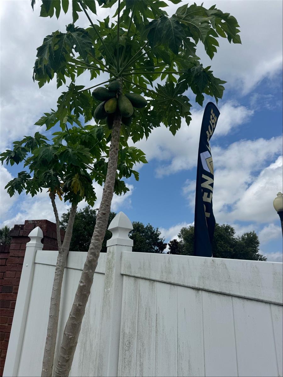 16780 MEADOWS ST, CLERMONT, FL, 34714